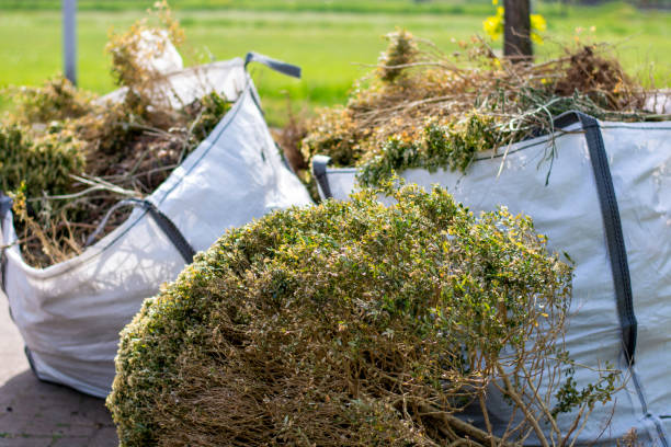 Demolition Debris Removal in Wheat Ridge, CO