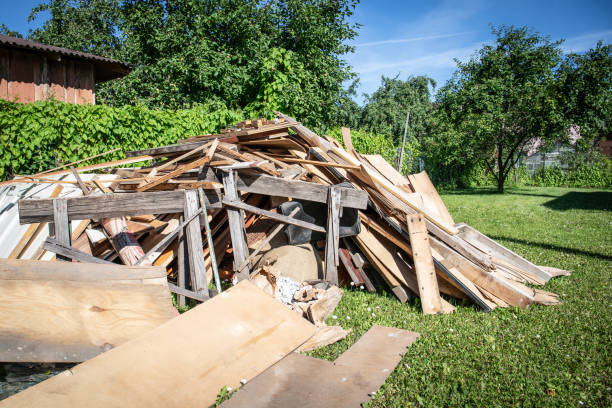 Best Basement Cleanout  in Wheat Ridge, CO