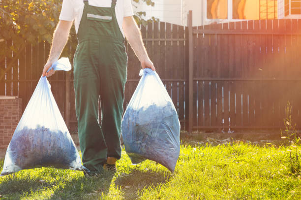 Best Retail Junk Removal  in Wheat Ridge, CO